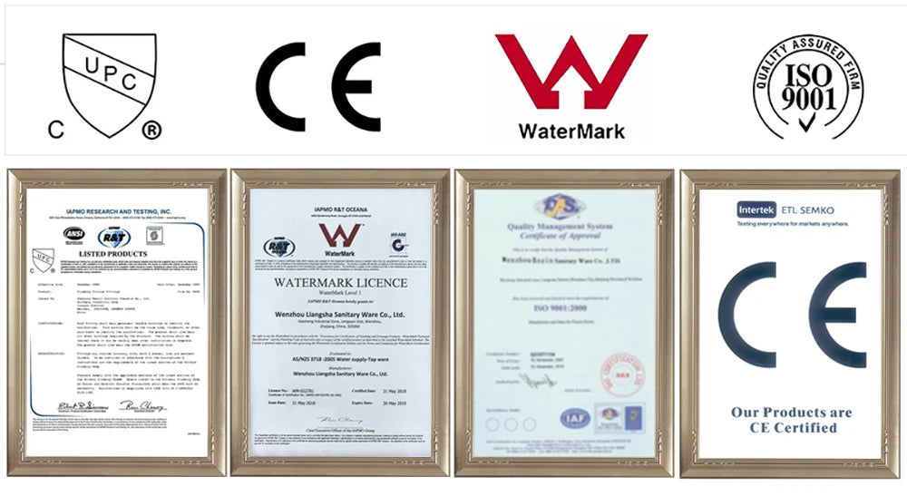 Chrome Handheld Toilet Bidet Faucet Stainless Steel Bidet Shower Hygienic Shower Wall Shower Woman Cleaner Cold Water Only