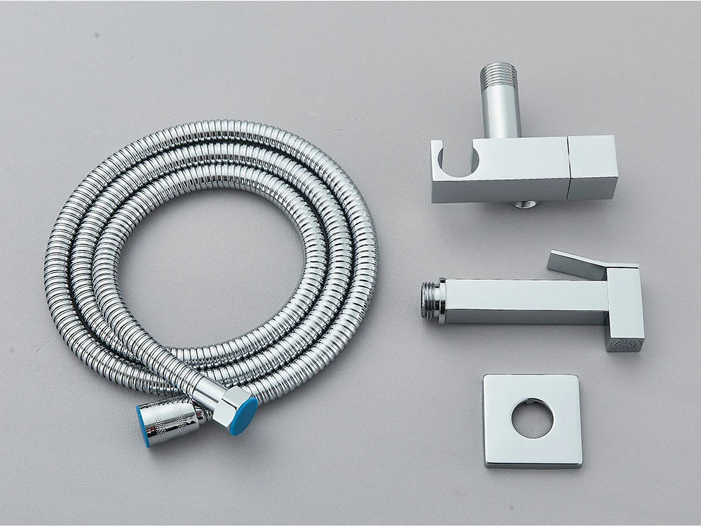 Chrome Handheld Toilet Bidet Faucet Stainless Steel Bidet Shower Hygienic Shower Wall Shower Woman Cleaner Cold Water Only