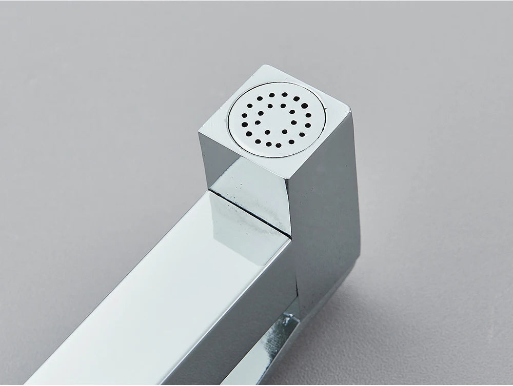 Chrome Handheld Toilet Bidet Faucet Stainless Steel Bidet Shower Hygienic Shower Wall Shower Woman Cleaner Cold Water Only