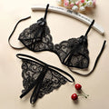 Sensual Sexy Female Lingerie Transparent Bra And Panty Set 2-Pieces See Through Mesh Sexy Bras Exotic Sets Fancy Underwear