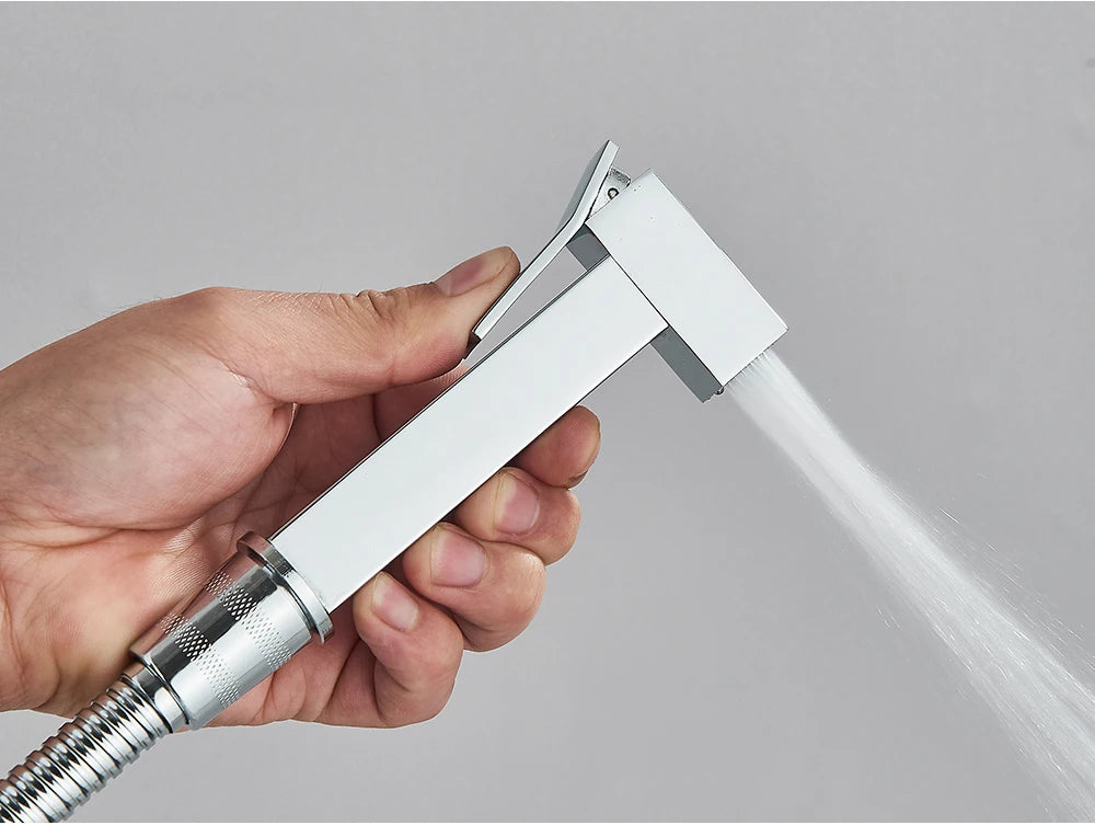 Chrome Handheld Toilet Bidet Faucet Stainless Steel Bidet Shower Hygienic Shower Wall Shower Woman Cleaner Cold Water Only