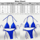 2 Pcs/Set Bikini Set Sexy Bikinis 2025 Bathing Suit Solid Color Halter Neck Strap Thong Women Swimsuit Set for Beach Swimwear