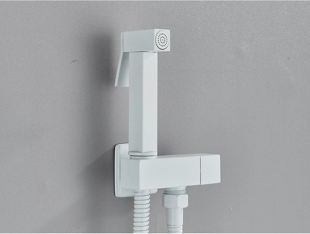 Chrome Handheld Toilet Bidet Faucet Stainless Steel Bidet Shower Hygienic Shower Wall Shower Woman Cleaner Cold Water Only