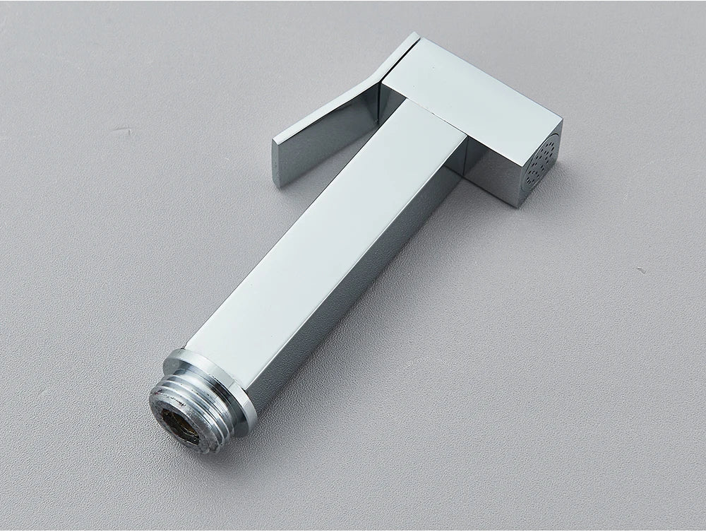 Chrome Handheld Toilet Bidet Faucet Stainless Steel Bidet Shower Hygienic Shower Wall Shower Woman Cleaner Cold Water Only